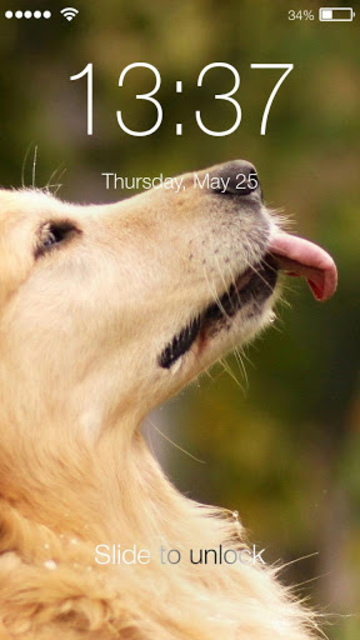 About Labrador Favorite Dog Pet Wallpaper Hd Lock Screen Google