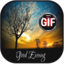 Good Evening gif App Icon