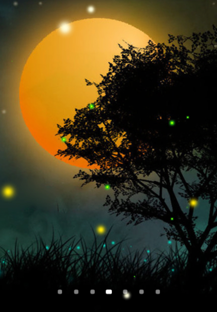 fireflies nature wallpaper