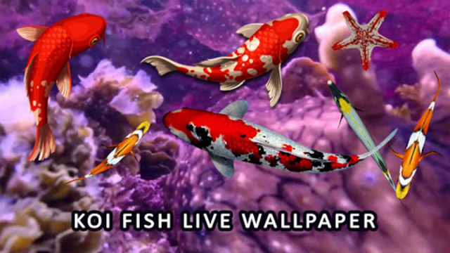 3d koi fish wallpaper