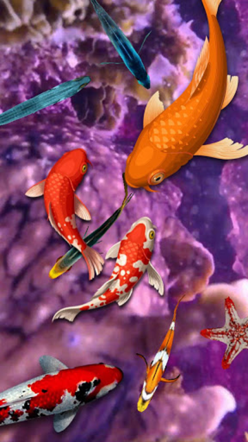 3d koi fish wallpaper