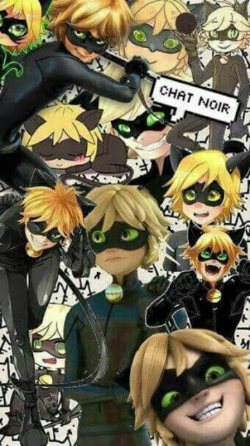 About Art Miraculous Wallpaper Cat Noir And Ladybung Google Play Version Apptopia