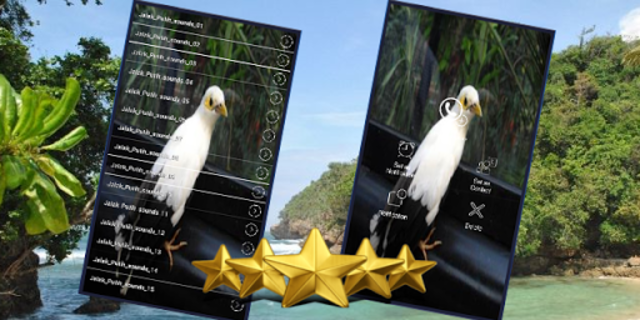 About Suara Burung Jalak Putih Gacor Suara Jalak Putih Google