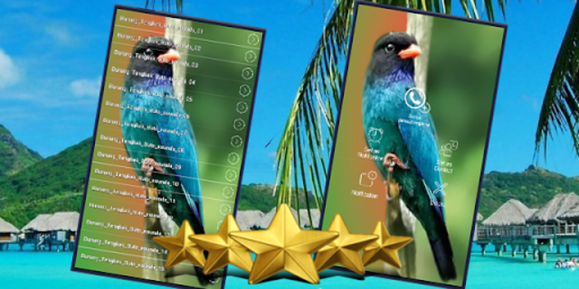 About Suara Burung Tengkek Buto Masteran Tengkek Buto Google