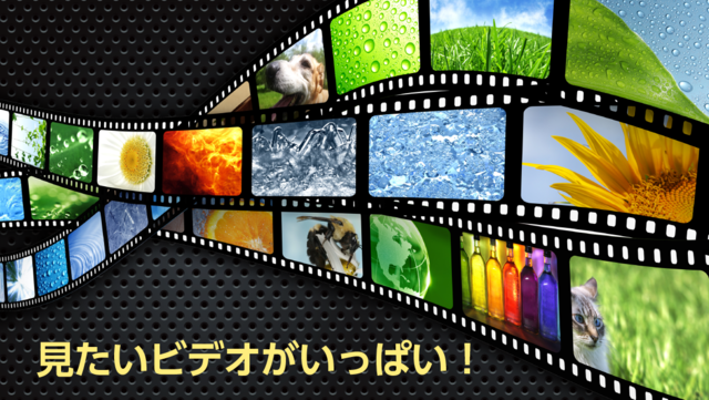 About ひかりｔｖどこでも Ios App Store Version Apptopia