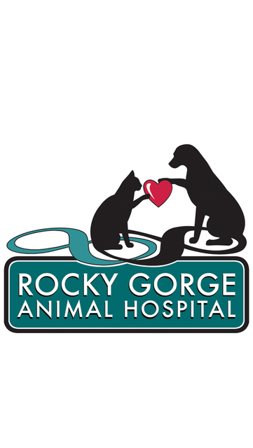 Rocky animal sale hospital